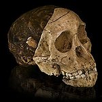 BucketList + Be Involved In An Archaeological ... = ✓