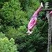BucketList + Bungee Jump = ✓