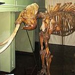 BucketList + Visit The Body Museum = ✓