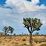 BucketList + Go To 50 National Parks = ✓