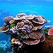 BucketList + Go To Great Barrier Reef = ✓