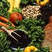 BucketList + Try Being Vegetarian = ✓