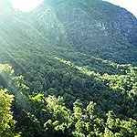 BucketList + Walk And Hike Around Newlands ... = ✓