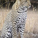 BucketList + Safari The Okavango Delta, Botswana ... = ✓