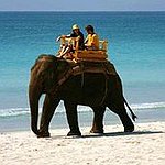BucketList + Ride An Elephant In Thailand. = ✓