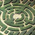 BucketList + Go Through A Huge Maze = ✓