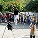 BucketList + Walk A Tightrope = ✓