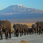 BucketList + Ride An Elephant And A ... = ✓