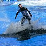 BucketList + Protest Againts Seaworld = ✓