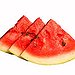 BucketList + Make A Vodka Watermelon = ✓