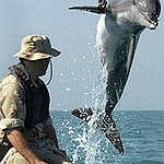BucketList + See A Dolphin In The ... = ✓
