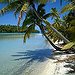 BucketList + Visit Cook Island = Done!