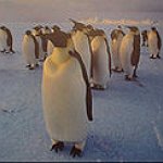 BucketList + Visit The Penguins In Antarctica. = ✓