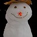 BucketList + Build A Snow Man = Done!