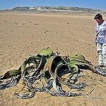 BucketList + Visit The Namib Desert = ✓