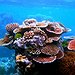 BucketList + Visit The Great Barrier Reef = Done!