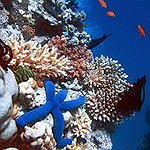 BucketList + See The Seven Natural Wonders ... = ✓