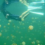 BucketList + Swim In Jellyfish Lake (Palau) = ✓