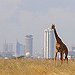 BucketList + Visit Kenya = ✓