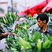 BucketList + Have Fresh Flowers In The ... = ✓