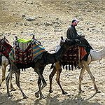 BucketList + Ride A Camel In Egypt. = ✓