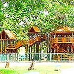 BucketList + Have An Extravagant Treehouse = ✓