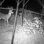 BucketList + Go Deer Hunting. = ✓
