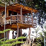 BucketList + Stay At A Treehouse Resort = ✓