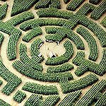 BucketList + Walk Through A Corn Maze = ✓