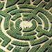BucketList + Go Through A Corn Maze = ✓