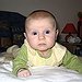 BucketList + Adopt. = ✓