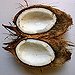BucketList + Drink Out Of A Coconut = ✓
