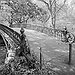 BucketList + Carriage Ride Through Central Park = ✓