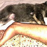 BucketList + Have My Own Puppy = ✓