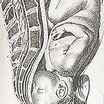 BucketList + Give Birth Naturally. = ✓