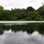 BucketList + Picnic On Hampstead Heath = ✓