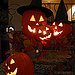 BucketList + Experience Halloween In Salem = ✓