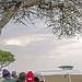 BucketList + Take An African Safari = ✓
