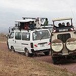 BucketList + Go On Safari In South ... = ✓