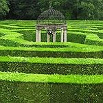 BucketList + Walk Through A Hedge Maze = ✓