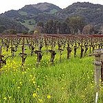 BucketList + Taste Wine In Napa Valley, ... = ✓
