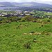BucketList + Visit Ireland And See The ... = ✓