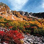 BucketList + Do A Fall Drive On ... = ✓