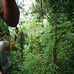 BucketList + Zip Line In A Rainforest. = ✓