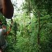 BucketList + Zip Line In A Rainforest. = ✓