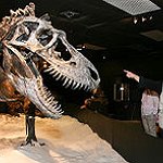 BucketList + Dig Up A Dinosaur = ✓
