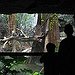 BucketList + Go To The Bronx Zoo = ✓