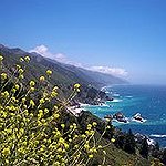 BucketList + Drive To Cali And Back ... = ✓