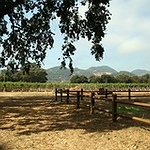 BucketList + Visit Napa Valley = ✓