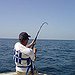 BucketList + Go Deep Sea Fishing And ... = ✓